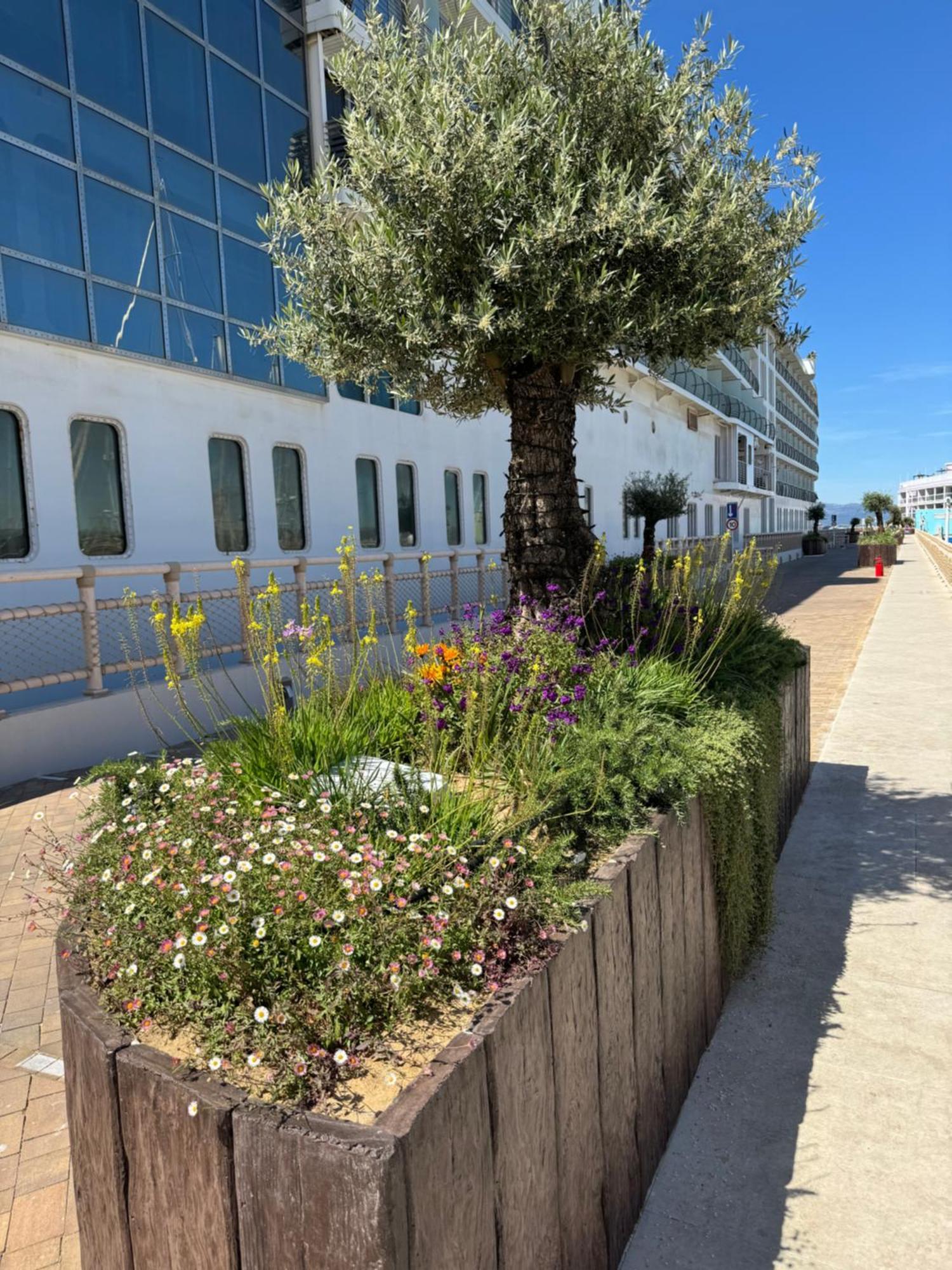 Marina Club Luxury Private Studio With Pool And Incredible Views Gibraltar Eksteriør bilde