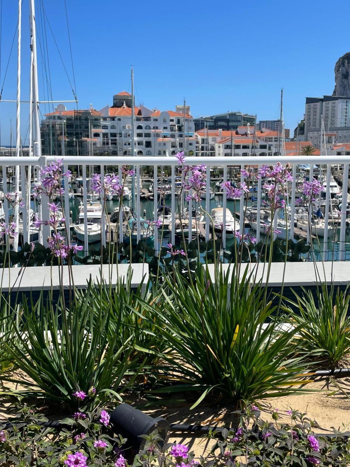 Marina Club Luxury Private Studio With Pool And Incredible Views Gibraltar Eksteriør bilde